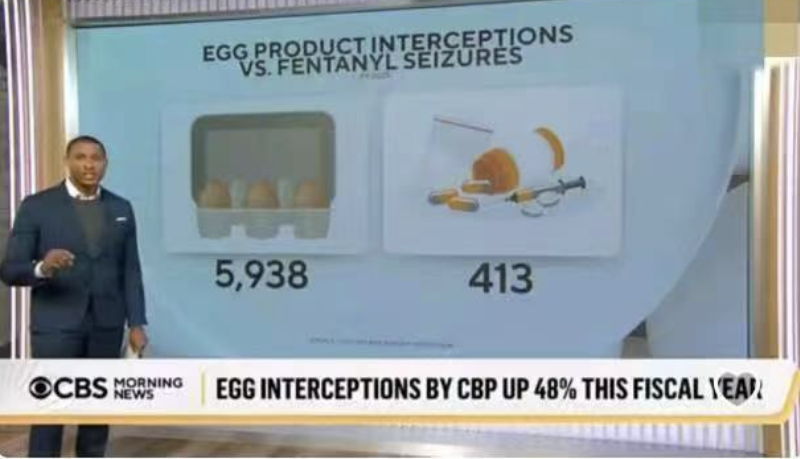 Egg smuggling graphic