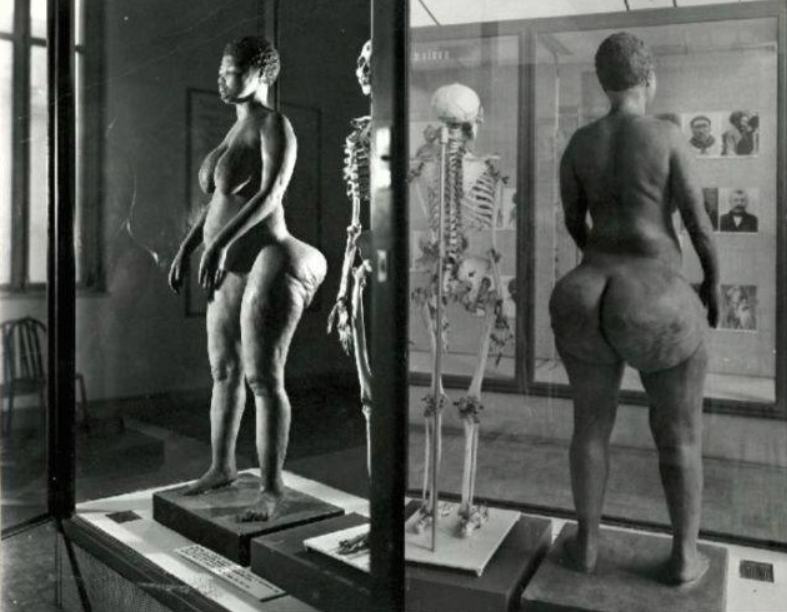Illustration of early human exhibitions