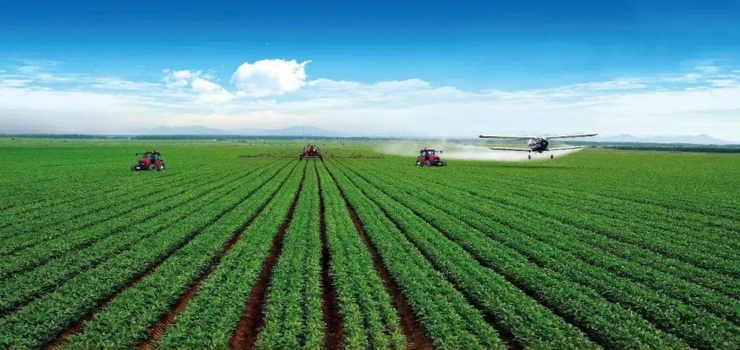 Guanzhong Plain
